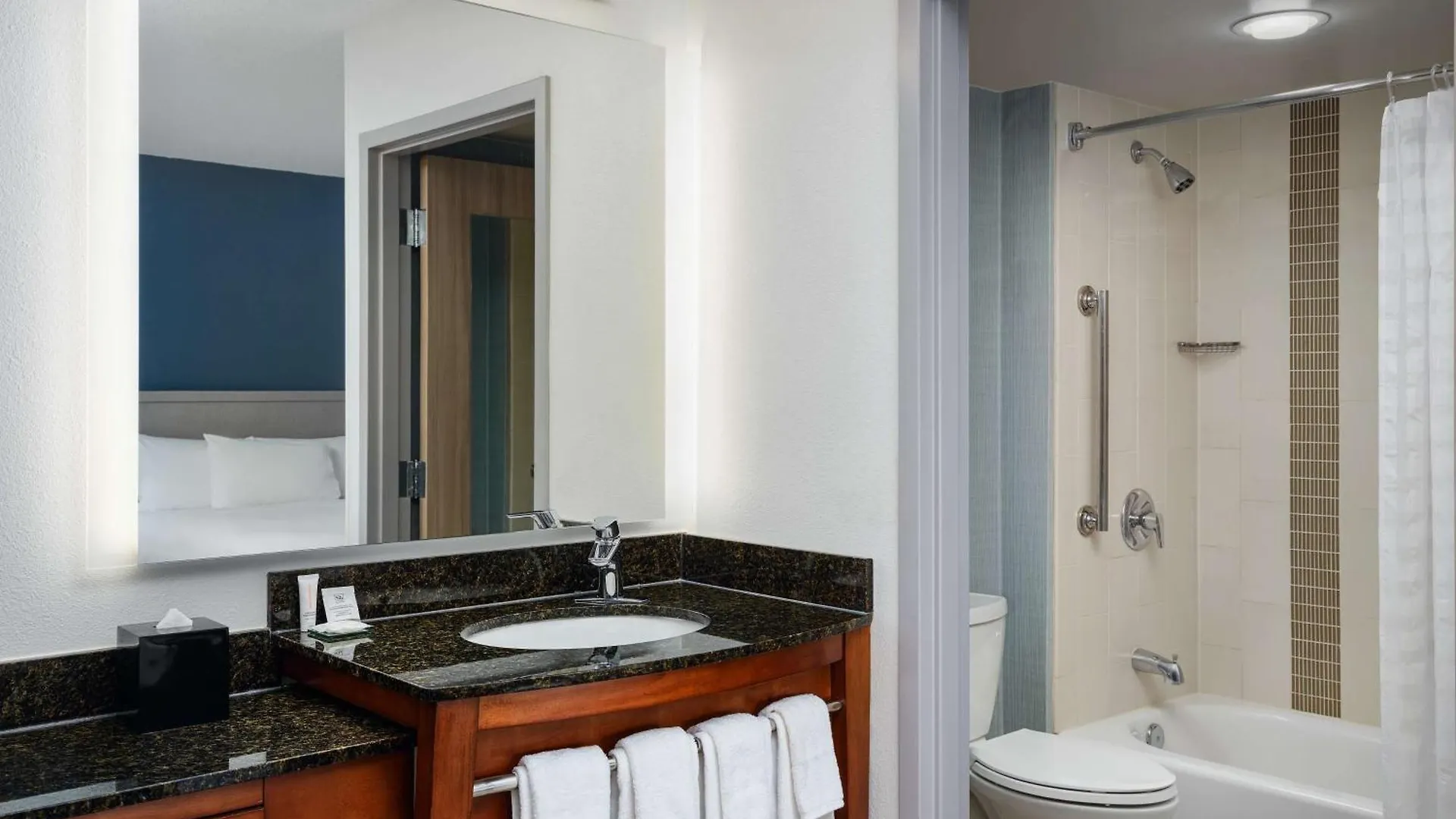 Hyatt Place Tampa Busch Gardens 3*,