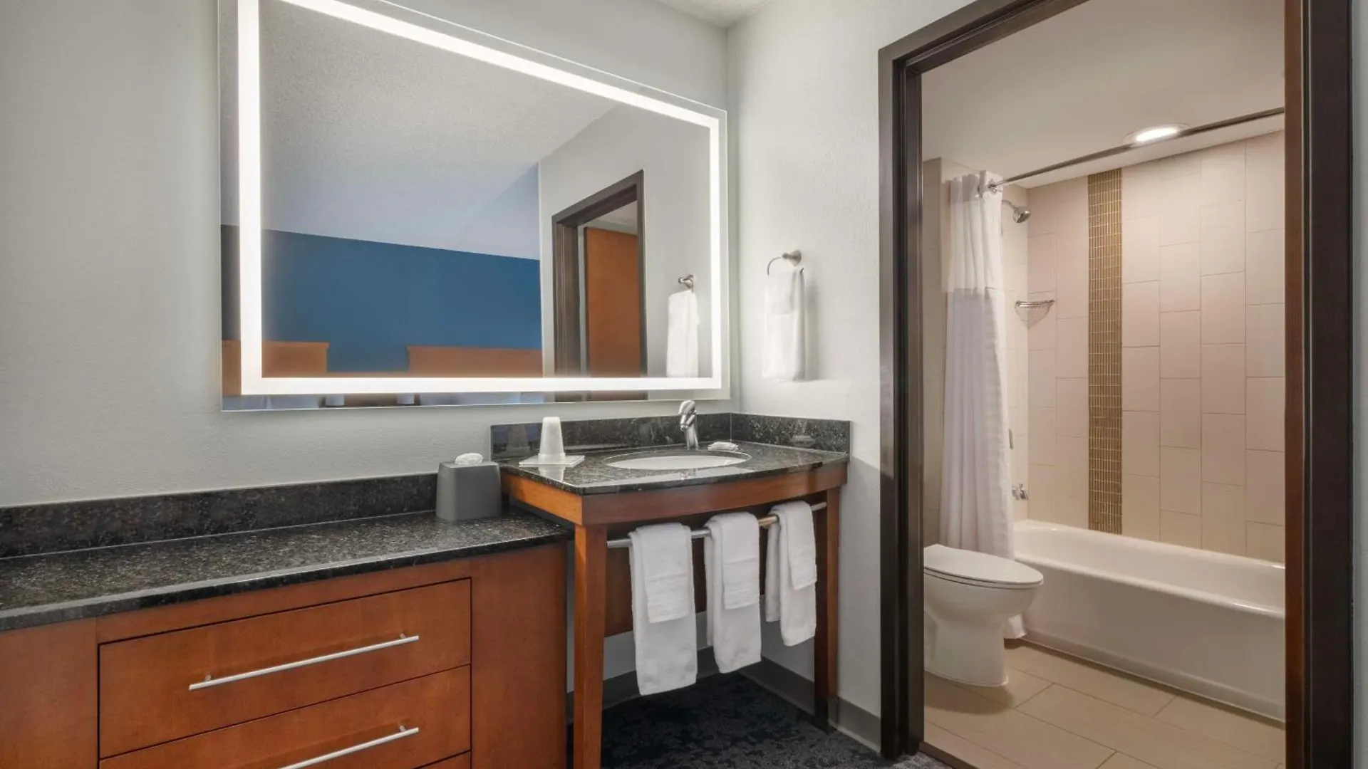 Hyatt Place Tampa Busch Gardens Hotel