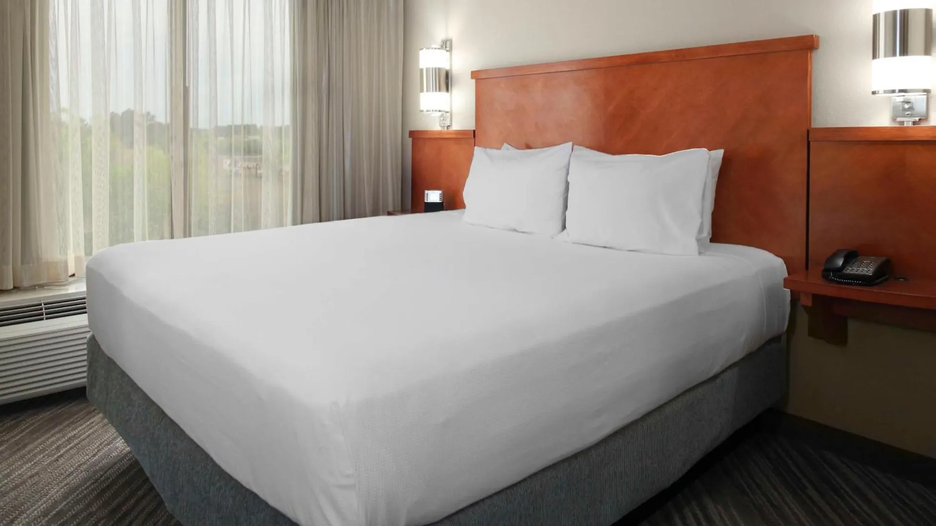 Otel Hyatt Place Tampa Busch Gardens